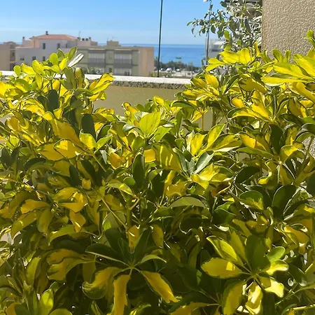 Cucurrox טורוקס